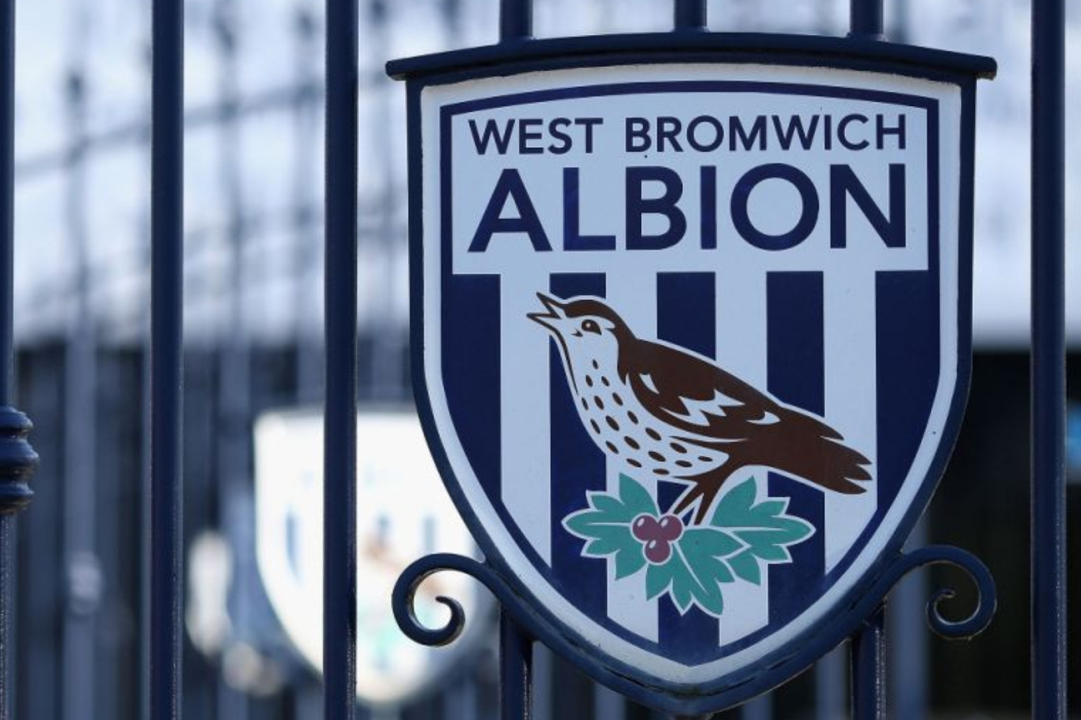 Alan Pardew leaves rock-bottom West Brom by mutual consent 